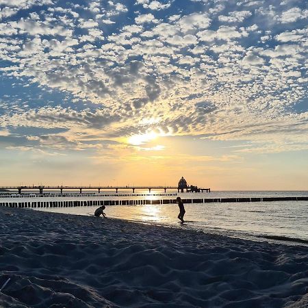 Fewo Leuschner Apartman Zingst Kültér fotó